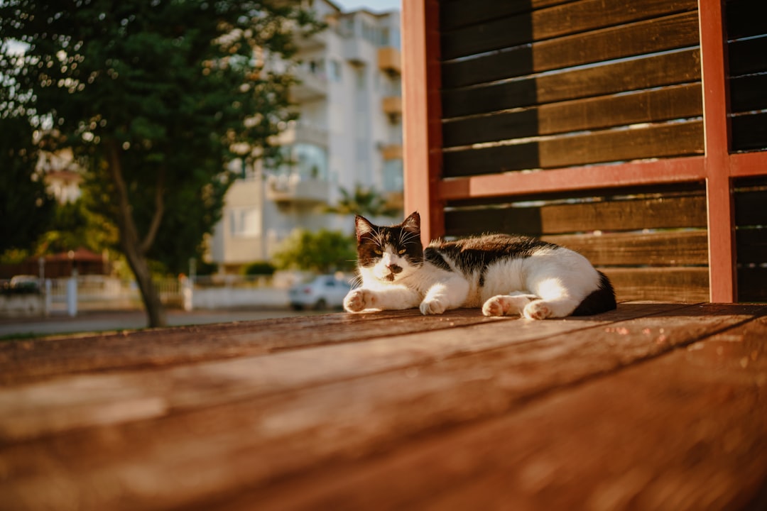 blog_17